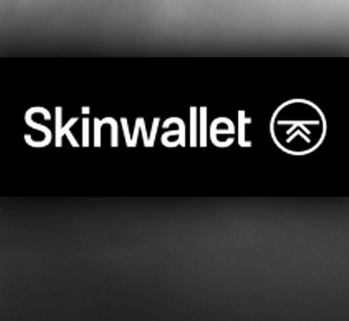 Турнір CS2 Skinwallet Cup FINAŁ